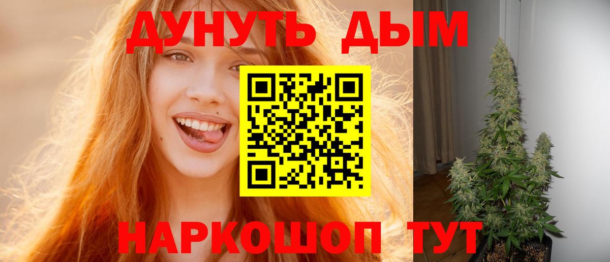 Конопля план  Бошки Шишки ГИДРОПОН  Кирово-Чепецк  МАРИХУАНА Bruce Banner  Каннабис гибрид  Вход с VPN 